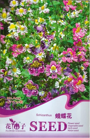1 Original Pack, 30 seeds Schizanthus Pinnatus Salpiglossia Sinuata Poor Man's Orchid Salpiglossis #A037