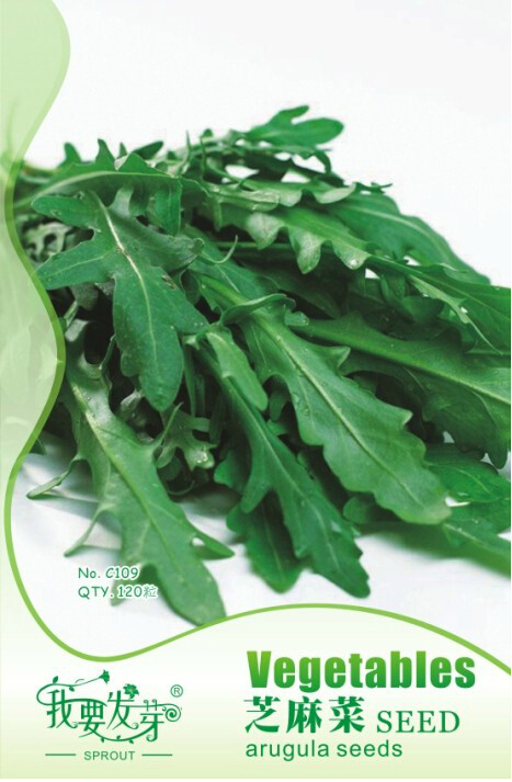 10 Original Packs, 120 seeds / pack, Garden Rocket Eruca Herbs Vegetable Seed