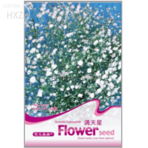 Graceful Gypsophila Seeds Potted Xia Grass, Original Pack, 50 seeds, white gypsophila paniculata seeds ornamental flowers A027