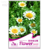 Aromatic plants Fruity Aroma Chamomile Seeds, 50 seeds, fruity aroma chamomile aromatic plants insect repellent aromatic A115