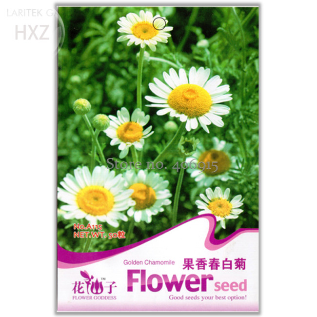 Aromatic plants Fruity Aroma Chamomile Seeds, 50 seeds, fruity aroma chamomile aromatic plants insect repellent aromatic A115