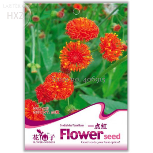 Little red ZinniaeIegans Flower Seeds, 30 seeds, medicinal vegetable seeds easy to grow potted garden A128
