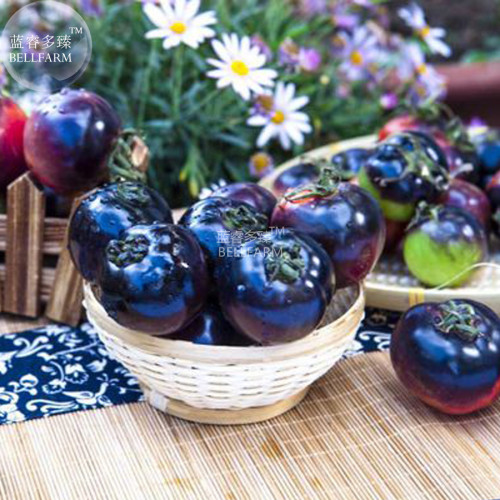 BELLFARM Giant Tomato Black Red Organic Fruit Seeds, 300 Seeds, Professional Pack, tasty sweet garden vegetables plants BD138H