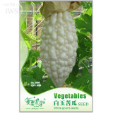 White Balsam Pear Seeds Bitter Melon Bitter Gourd Seeds, Original Pack, 5 seeds, organic green vegetable IWSC023S