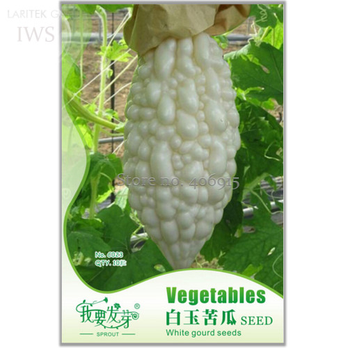 White Balsam Pear Seeds Bitter Melon Bitter Gourd Seeds, Original Pack, 5 seeds, organic green vegetable IWSC023S