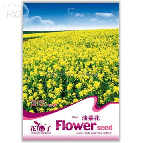 Canola Flower Seeds Rapeseed Edible Rape Flower Seeds, 150 seeds, aromatic ornamental patio potted plants light up garden A121