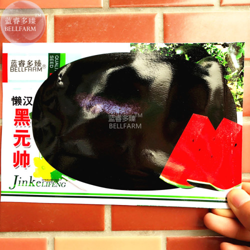 BELLFARM Watermelom Black Skin Fresh Red Inside Big Melon Seeds, 22 Seeds, original pack, 13% sugar contained 8-10kgs per fruit