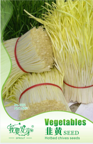 1 Original Pack, 50 seeds / pack, Yellow Chinese Chives Seeds, NON-GMO seeds, Great Vegetables Hotbed Chives #NF125