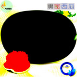 Heirloom Black Skin Red Elliptical Seedless Watermelon Fruits, 40 Seeds, Original Pack, organic 13% sugar contained ONX106Y