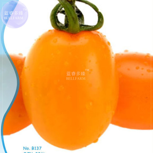 BELLFARM Mango-like Yellow Middle Bonsai Fruits, 20seeds/original package, organic beautiful home garden bonsai plants