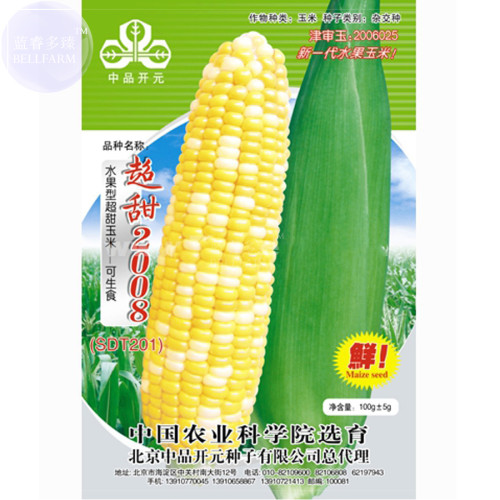 BELLFARM 'Super Sweet 2008' Sweet Yellow White Corn Hybrid 'Seeds' High Yield 100grams early mature raw edible bonsai maize