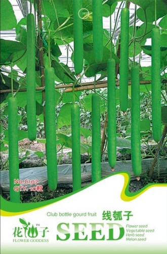 Green Long Bottle Gourd Seeds, Original Pack, 10 Seeds / Pack, Non-gmo Edible Gourds Vegetables #C107
