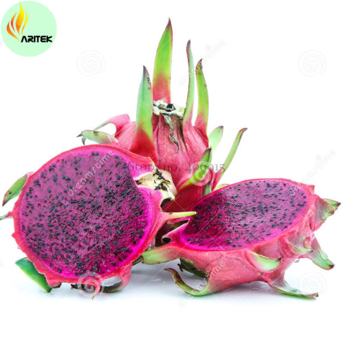 Vietnam Rare Red Dragon Fruit Organic Seeds, Professional Pack, 100 Seeds / Sweet, Tasty Sweet Pitaya E3493