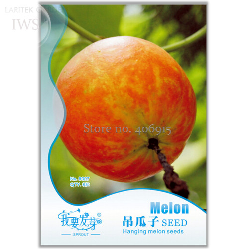 Heirloom Hanging Melon Organic Vegetables Seeds, Original Pack, 8 seeds, easy to grow natural fruit and vegetable seeds IWSB007