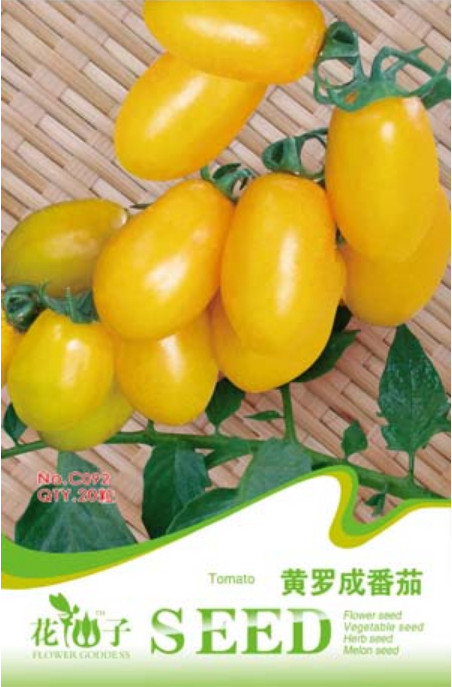 1 Original pack, 20 seeds / pack, Roma Yellow Little Tomato Plant, Organic Edible Tomato, Non-gmo seeds #C092