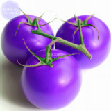 BELLFARM Tomato Giant Purple Fruit Seeds, 100 seeds, professional pack, tasty organic salad vegetable home garden fruits