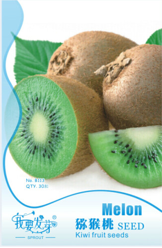 10 Original Packs, 30 seeds / pack, Exotic Fruits Hardy Kiwi Vine Fruit Delicious Fruits