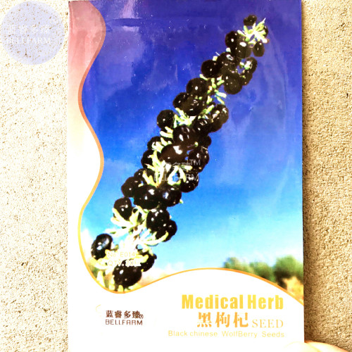 BELLFARM Black Goji lycium ruthenicum Seeds, 20 seeds, original pack, herbal medlar black wolfberry