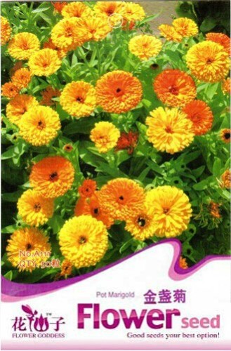 1 Original Pack, 50 Seeds / Pack, Calendula Seeds CALENDULA OFFICINALIS Decorative and Medicinal #A111