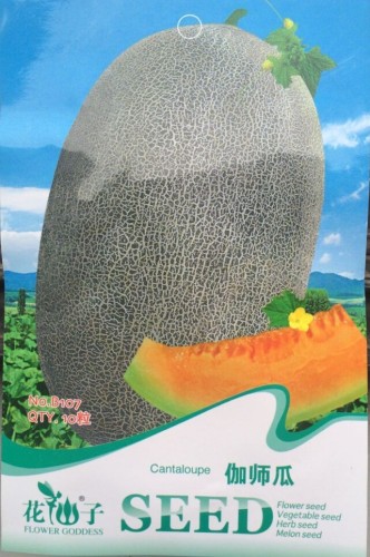 Heirloom Big Cantaloupe Sweet Muskmelon Organic Seeds, Original Pack, 10 Seeds / Pack, Sweet Fruit Plant #B107