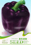 Original Pack Hot Chilli Sweet Pepper Seeds