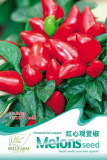 Original Pack Hot Chilli Sweet Pepper Seeds