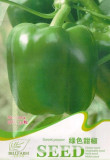 Original Pack Hot Chilli Sweet Pepper Seeds