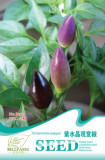 Original Pack Hot Chilli Sweet Pepper Seeds