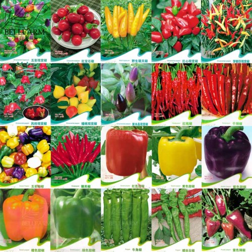Original Pack Hot Chilli Sweet Pepper Seeds