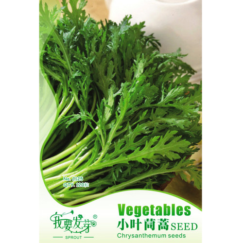 Chrysanthemum Coronarium Vegetable Seeds, Original Pack, 120PCS Small Leaf Garland Chrysanthemum