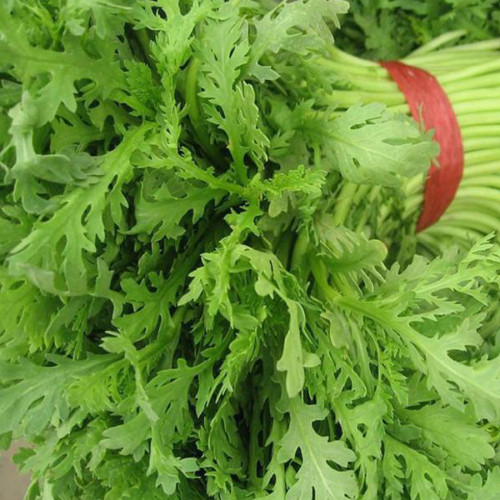 Chrysanthemum Coronarium Vegetable Seeds, Original Pack, 120PCS Small Leaf Garland Chrysanthemum