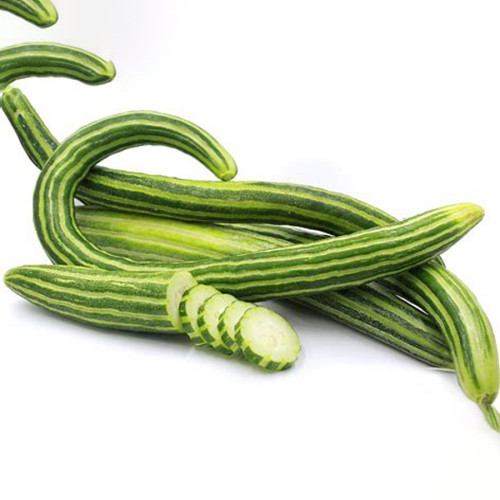 Cucumber Armenia Vegetable 50 Seeds Organic 1 meter Long