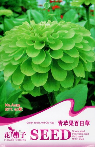 green apple Beautiful Zinnia Seeds Original Pack, 50 seeds, attract butterflies light up your garden A039