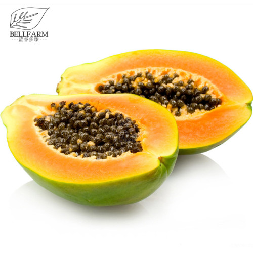 BELLFARM 6PCS Hainan Yellow Skin Yellow Inside Papaya Fruits 'Seeds' Heirloom Pawpaw Sweet Fruits Home Garden