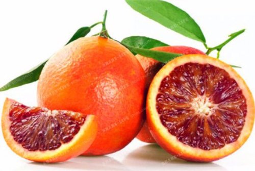 30PCS Rare Red Lemon Tree Seeds High Survival Rate Fruit Seeds For Home Gatden Balcony Bonsai Organic Fruit Lemon Tree Seeds