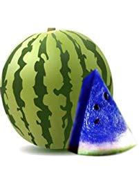 super1798 10 Pcs New Variety Plant Blue Watermelon Seeds Vegetable Organic Gardening