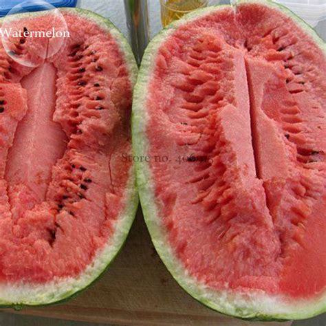 Jubilee Sweet Watermelon Seeds, 75+ Premium Heirloom Seeds