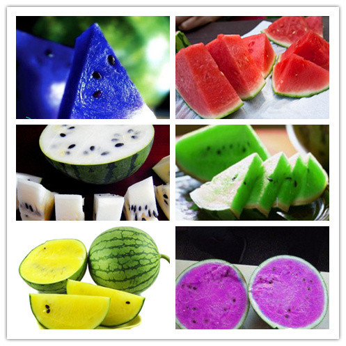 Watermelon seeds 50pcs fruit vegetable seeds Garden Home plantBlue Yellow Green Watermelon Purple