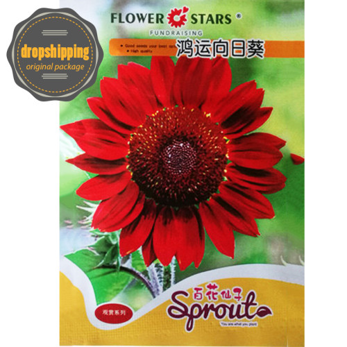 'Hongyun' Dark Red Sunflower Seeds 5 Original Packs 15 Seeds/Pack