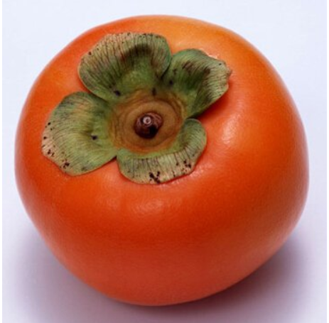 Rare Persimmon Seed Organic Non-GMO  Juicy Succulent fruit trees 20 pcs/bag