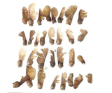 Maple Tree Palatum Bonsai 20pcs Purple Blue Ghost Japanese Flower Seeds Tree Seeds Potted Plant For Home Garden