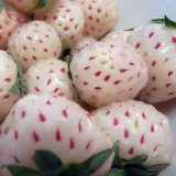 White Strawberry Seeds The Hottest Fruits in Japan 100PCS/pack
