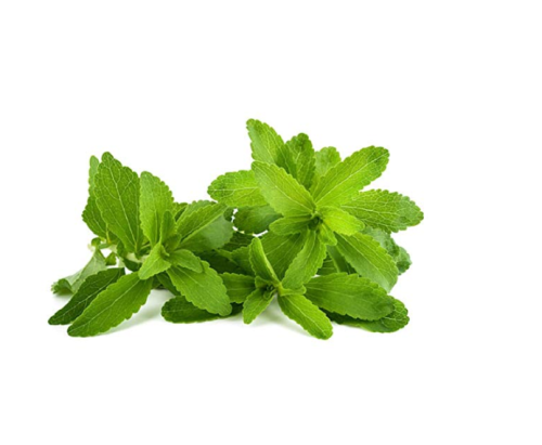 400 Stevia Seeds, Stevia Herbs Seeds Green Herb, Stevia Rebaudiana Semillas for Garden Planting Healthy