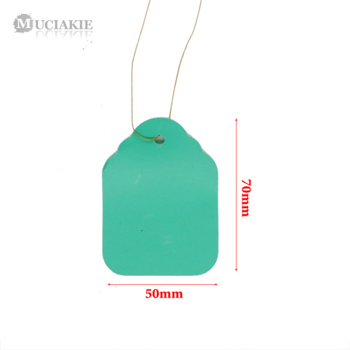 50PCS 50x70mm Good Plastic Colorful Plant Labels Hanging Tags with Strip Line Garden Markers for Pots Flowers Nursery Bonsai