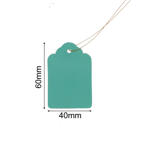 50PCS 60x40mm Durable New Plastic Garden Plants Tags Marker Vegetables Bonsai Markers Labels Strip Line Hanging Multicolor