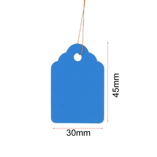 100PCS 45x30mm Washable Waterproof Plant Markers Garden Labels Hanging Herbs Vegetables Bonsai Seedings Light Tags