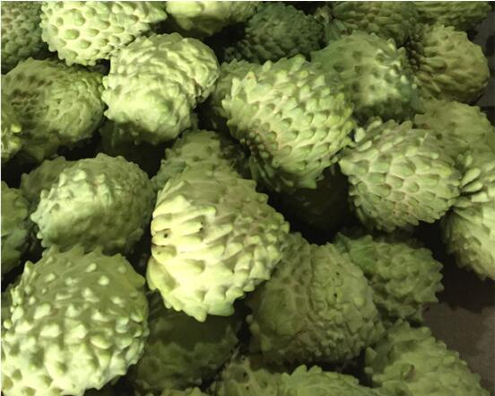Sugar Apple Seeds Sweetsop Custard Apple Fruits  DL447C