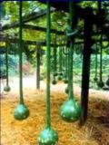 Extra Long Handle Dipper Gourd Seeds! 10 Seeds