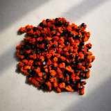 BELLFARM Strelitzia Reginae Seeds Red Crane Flower Bird of Paradise Flowers