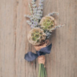 3PCS Scabiosa stellata Seeds Starflower Pincushions Can be used as Cut Flowers